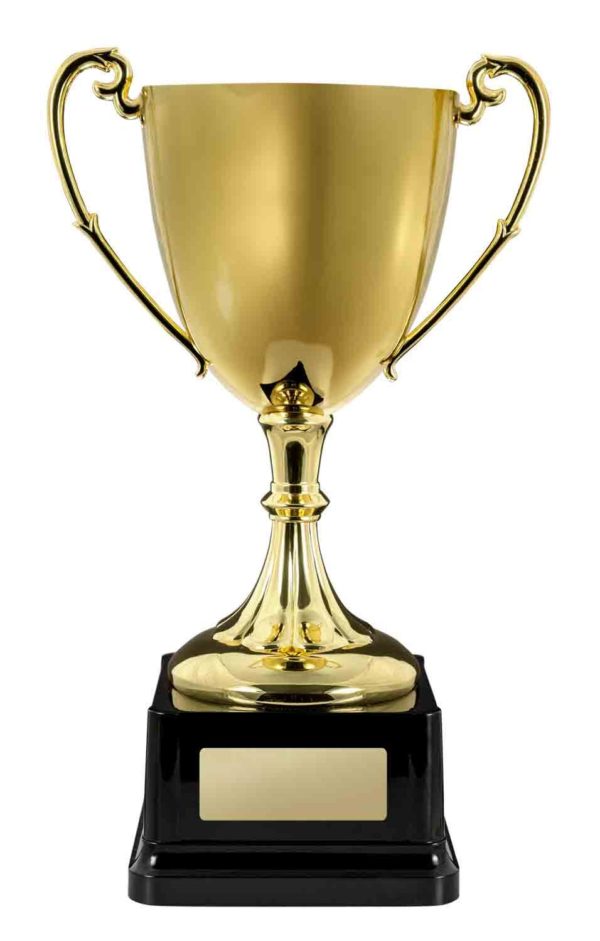 1161GA: Gold Cast Cup - Image 6