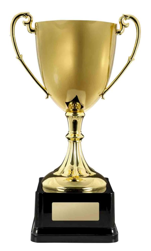 1161GA: Gold Cast Cup - Image 7