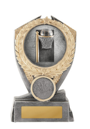 12A-2DC8G: Hero Shield-Netball