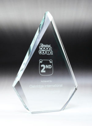 1366-1: Essense Glass-Arrowhead