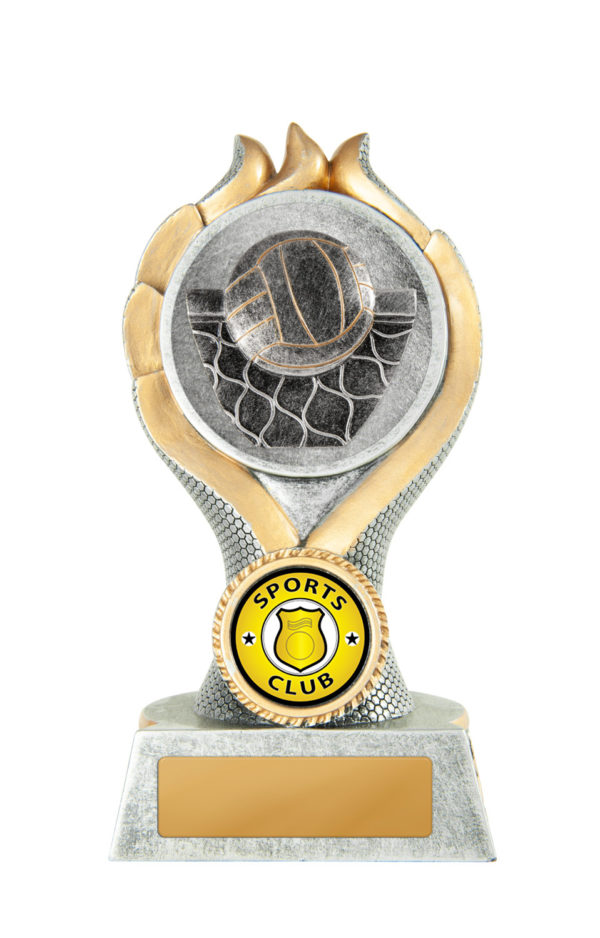 14A-2DC13G: Sierra Tower-Volleyball - Image 3