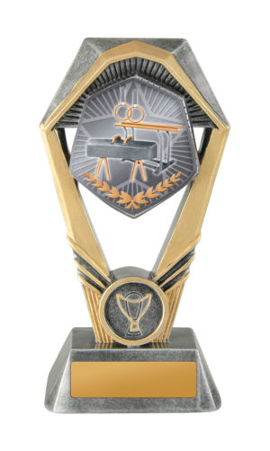 18A-TS20G: Hex Tower-Gym