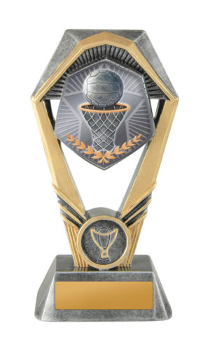 18A-TS8G: Hex Tower-Netball