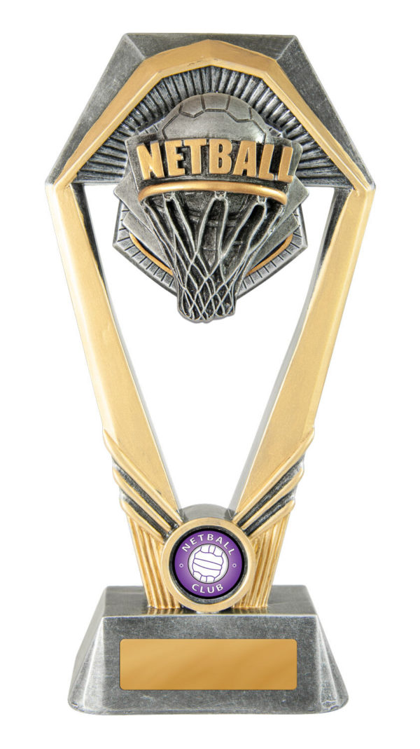 18A-RI8G : Hex Tower-Netball - Image 3