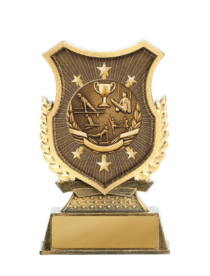 20AA-SS20GS: Shield Stand-Gym