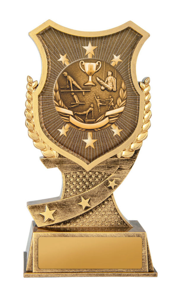 20AA-SS20GS: Shield Stand-Gym - Image 3