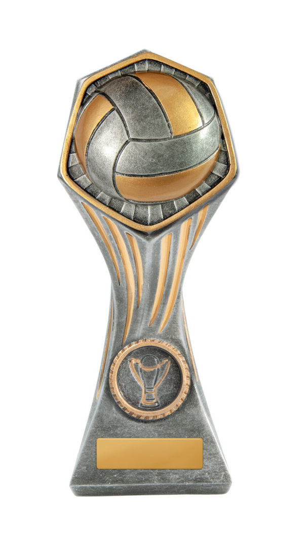 22A-RI13B: Gladiator Series-Volleyball - Image 3