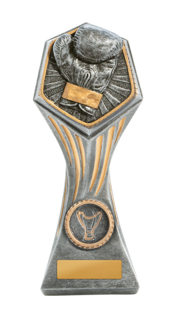 22A-RI32GA: Gladiator Series-Boxing - Image 3