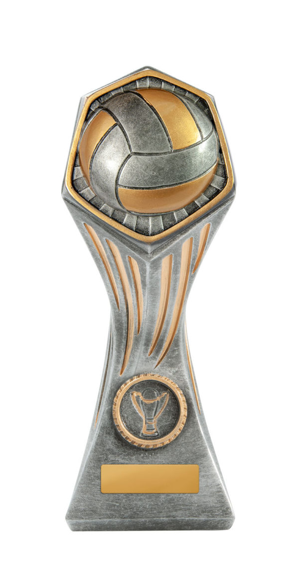 22A-RI13B: Gladiator Series-Volleyball - Image 4