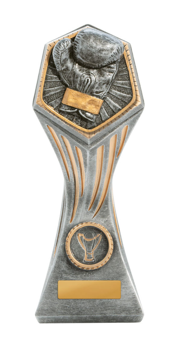 22A-RI32GA: Gladiator Series-Boxing - Image 4