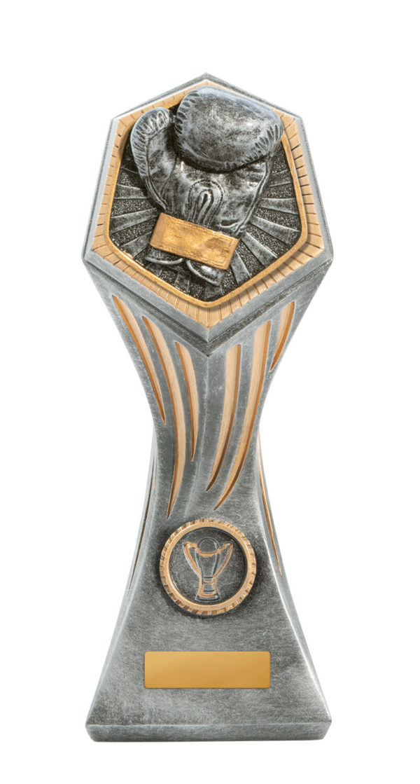 22A-RI32GA: Gladiator Series-Boxing - Image 5