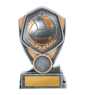 23A-TS13B: Hero Series-Volleyball