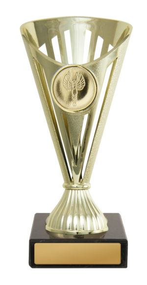 243G-1: Fan Budget Cup