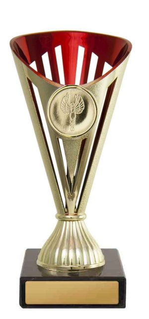 243GR-1: Fan Budget Cup