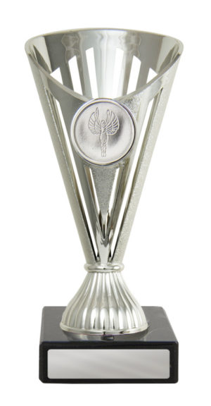 243S-1: Fan Budget Cup