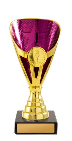 245GPU-1: Arianna Cup