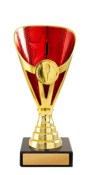 245GR-1: Arianna Cup