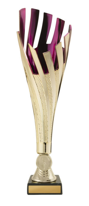 265GPU-1: Tenerife Cup