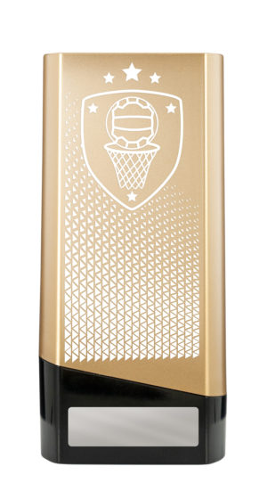 26A-VS8A: Tower Block Series-Netball