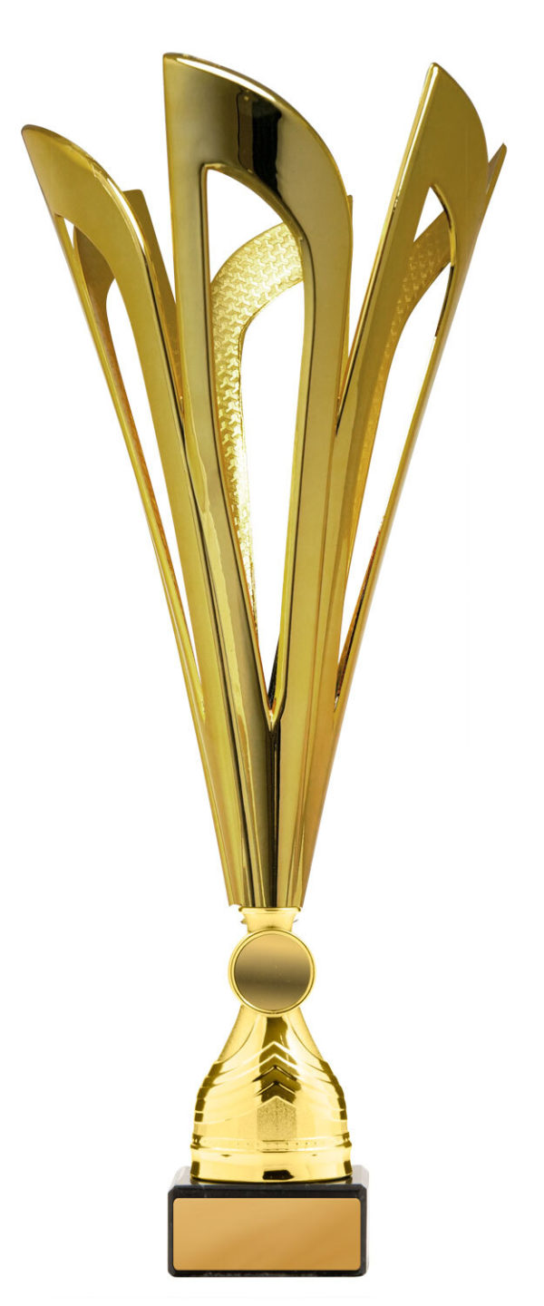 278G-1: Mayflower Cup - Image 3