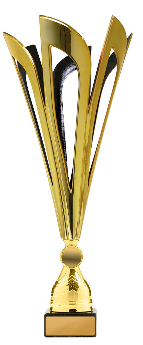 278GBK-1: Mayflower Cup - Image 3