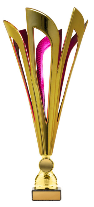 278GPK-1: Mayflower Cup