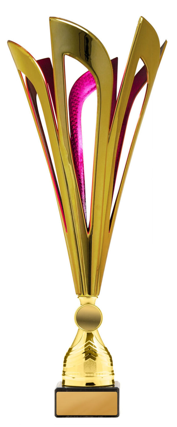 278GPK-1: Mayflower Cup - Image 3