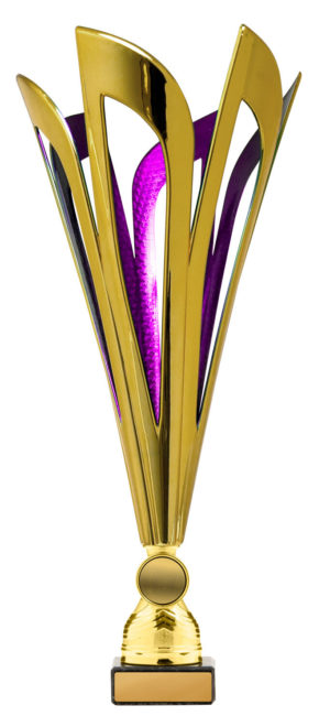 278GPU-1: Mayflower Cup