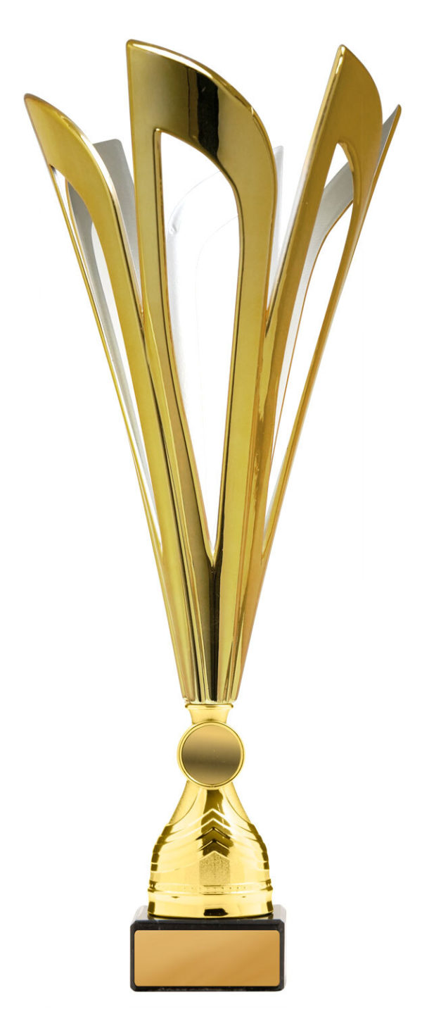 278GS-1: Mayflower Cup - Image 3