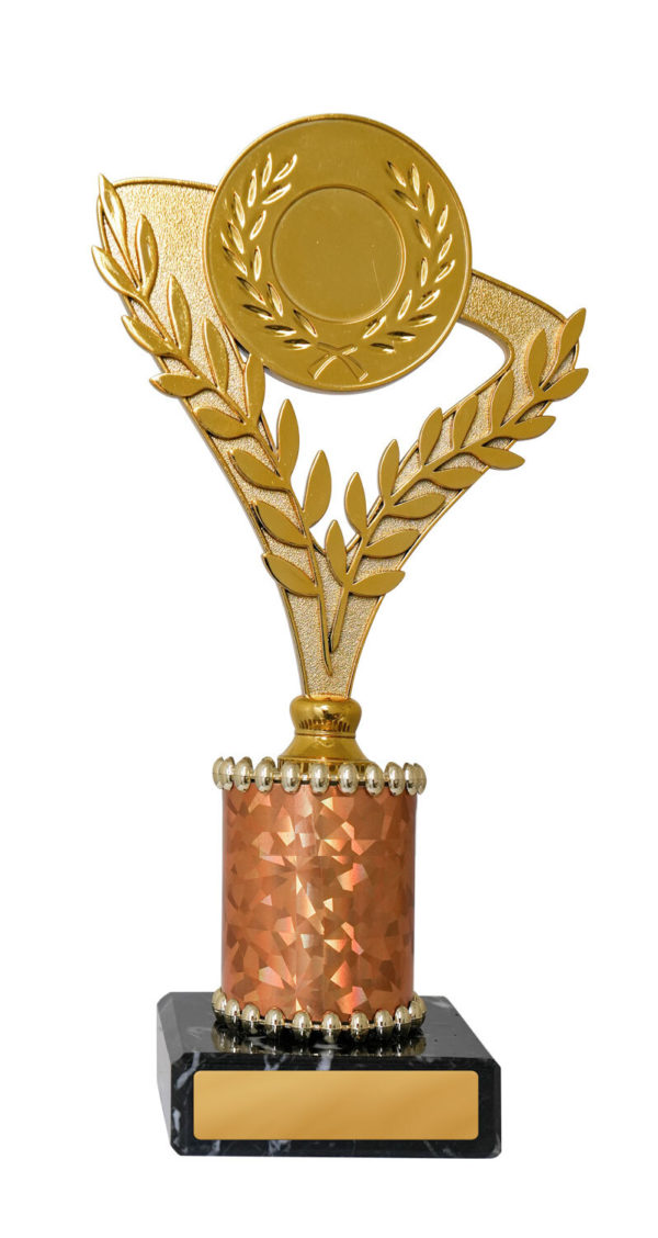 282G-1: Lanzarote Cup - Image 3