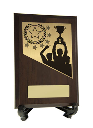 8231CH-PS56A: Achievement Theme on Plaque