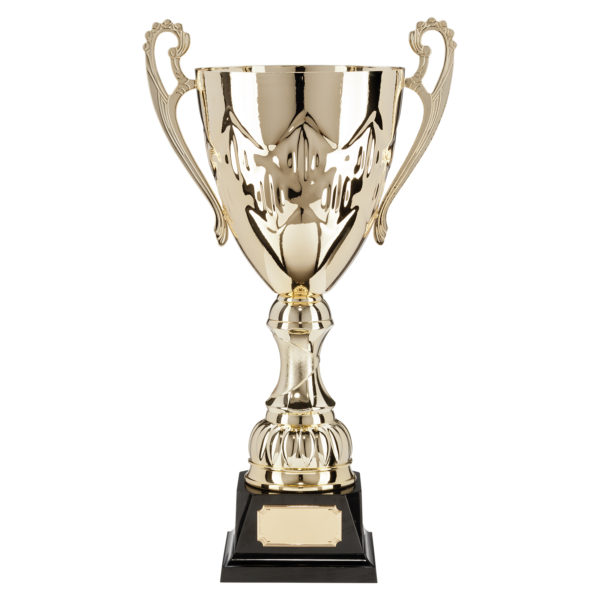 876G-1P: Crown Cup - Image 4