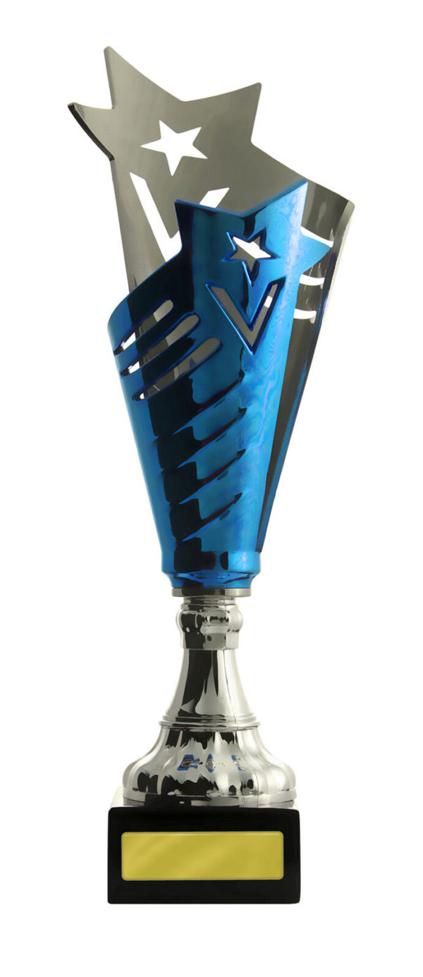 893SBU-3: Glamour Cup - Image 3