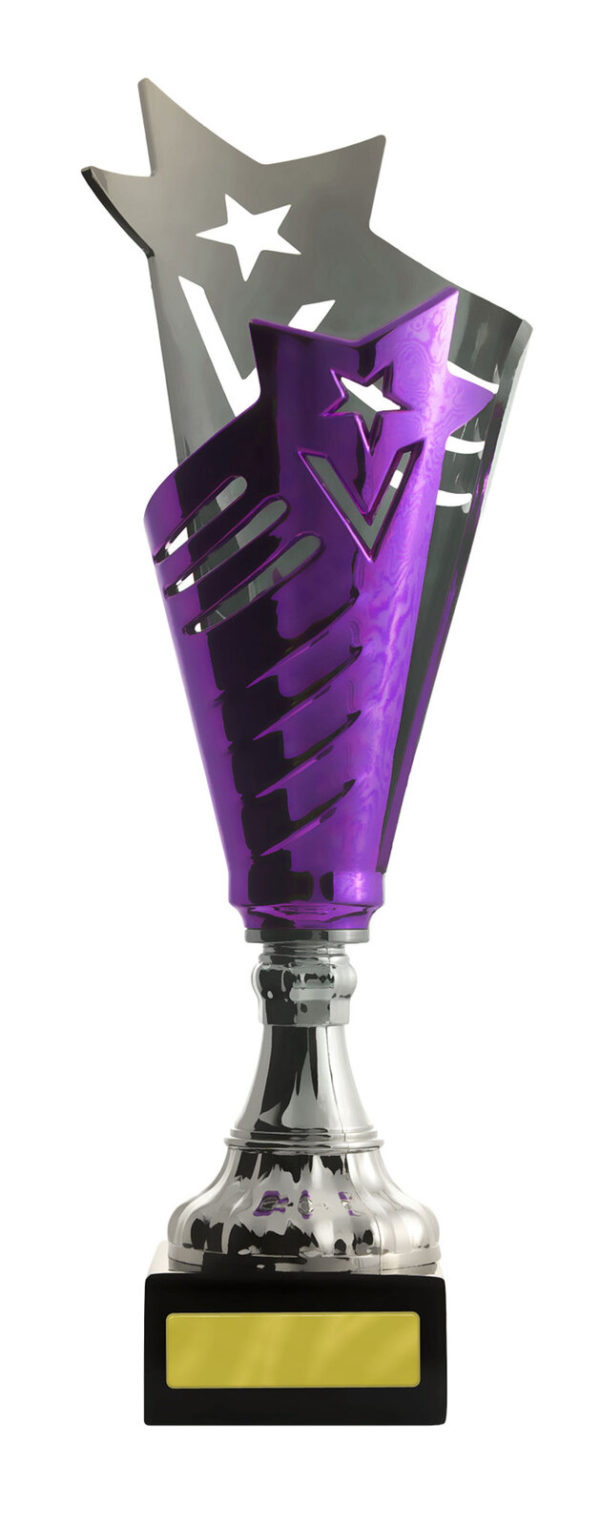 893SPU-3: Glamour Cup - Image 3