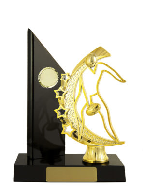 A24-2301DK: Timber Buildup Aussie Rules