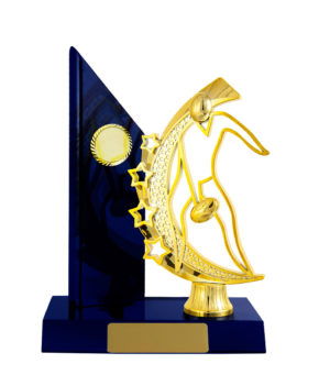 A24-2301RB: Timber Buildup Aussie Rules