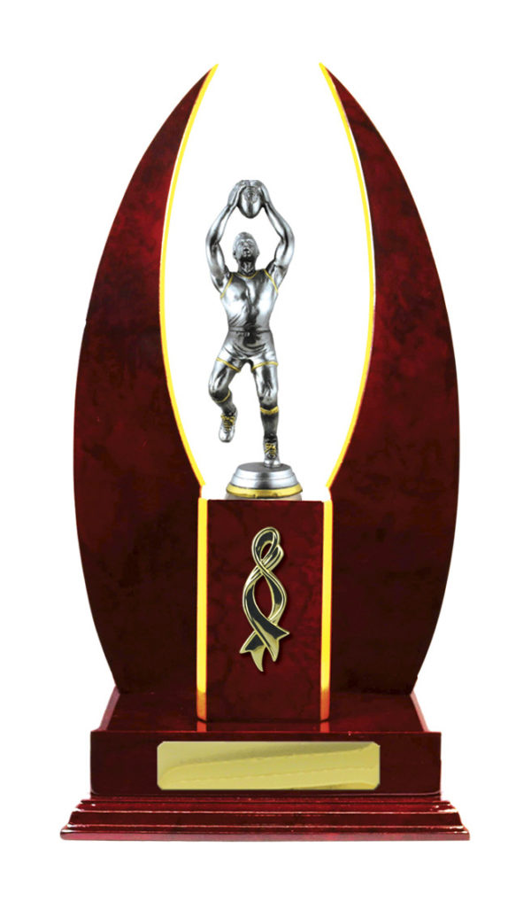 A24-2314CH : Timber Buildup Aussie Rules - Image 4