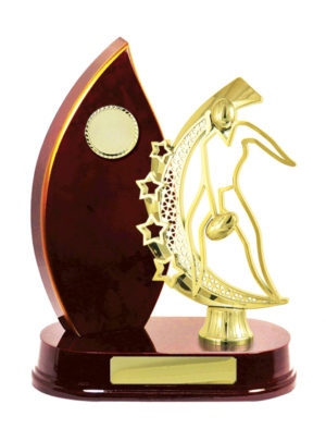 A24-2513CH: Timber Buildup Aussie Rules