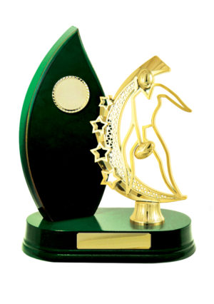 A24-2513GN: Timber Buildup Aussie Rules