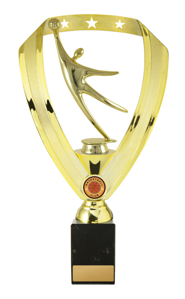 B24-1917 : Backstand/Base/Basketball M. - Image 3