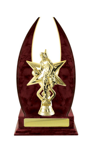 B24-2314CH: Timber Buildup Basketball