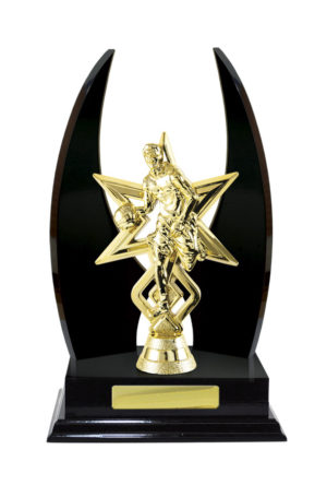 B24-2314DK: Timber Buildup Basketball