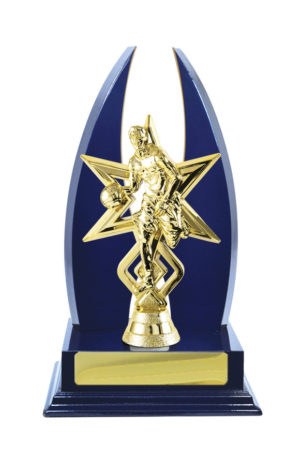 B24-2314RB: Timber Buildup Basketball