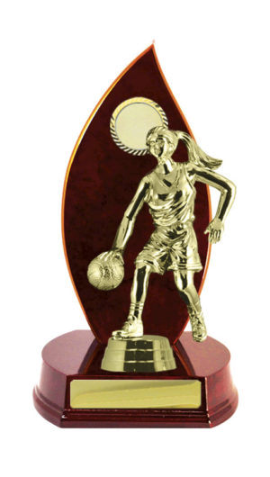 B24-2401CH: Timber Buildup Basketball