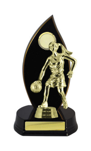 B24-2401DK: Timber Buildup Basketball