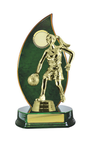 B24-2401GN: Timber Buildup Basketball