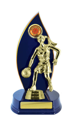 B24-2401RB: Timber Buildup Basketball