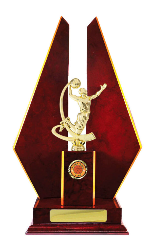 B24-2404CH : Timber Buildup Basketball - Image 5