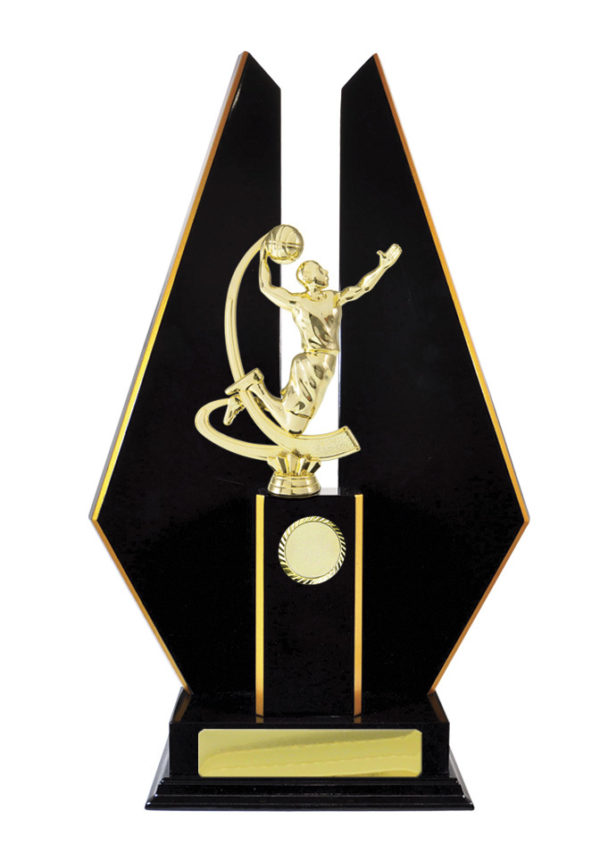 B24-2404DK : Timber Buildup Basketball - Image 5