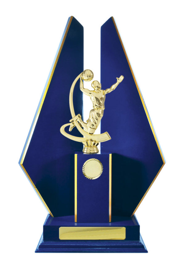 B24-2404RB : Timber Buildup Basketball - Image 5